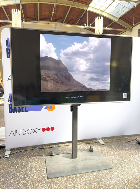 'Rock' by Tanya Lee Raycroft 2021