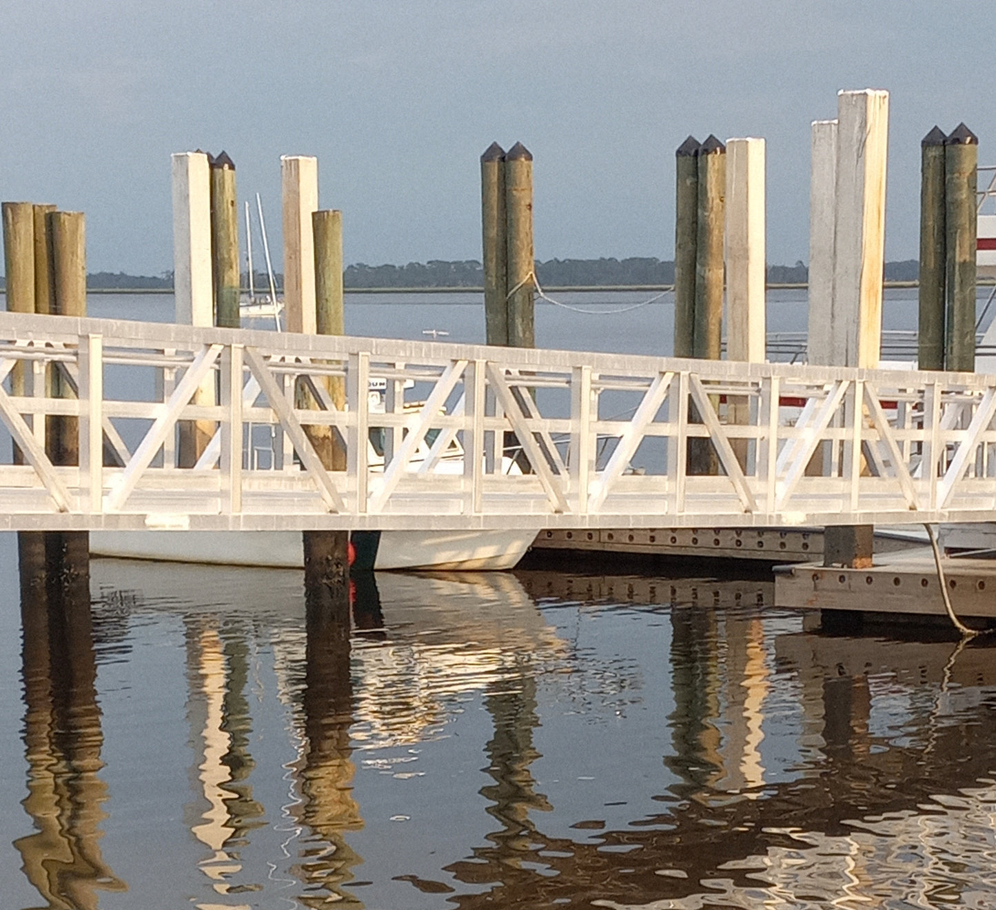 Event Planner Tanya Lee Raycroft LLC