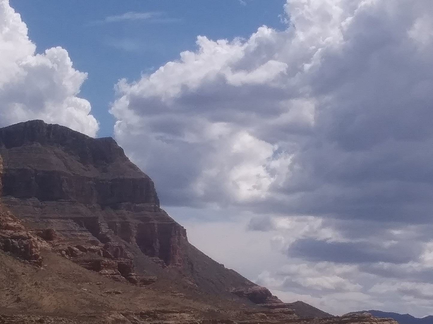 'Rock' by Tanya Lee Raycroft 2021